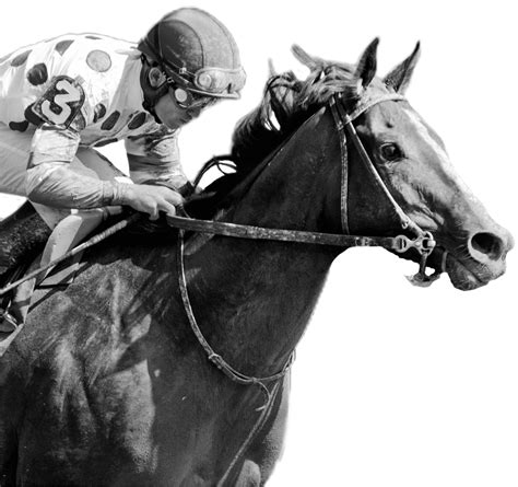 drf bets classic|Daily Racing Form Introduces Free Past Performances Exclusively.